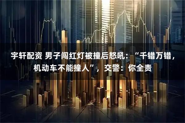 宇轩配资 男子闯红灯被撞后怒吼：“千错万错，机动车不能撞人”，交警：你全责