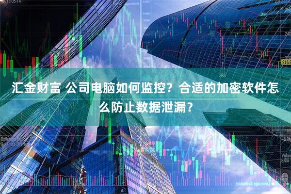 汇金财富 公司电脑如何监控？合适的加密软件怎么防止数据泄漏？