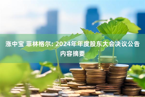 涨中宝 菲林格尔: 2024年年度股东大会决议公告内容摘要