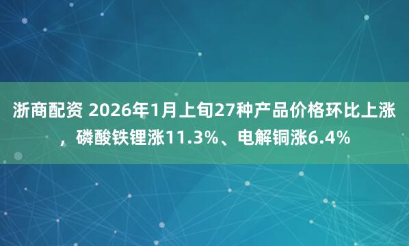 浙商配资 2026年1月上旬27种产品价格环比上涨，磷酸铁锂涨11.3%、电解铜涨6.4%